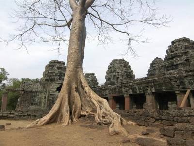 Temple d'Angkor