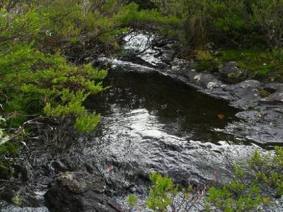 magnifique fleuve des tenebres de la mort qui tue
