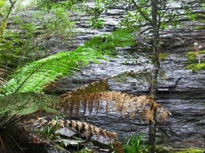 la sedimentation a permis de former des roches calciques de tres haute pression, comme on peut le voir