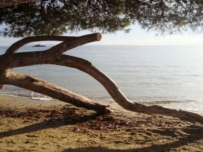 La londe des maures