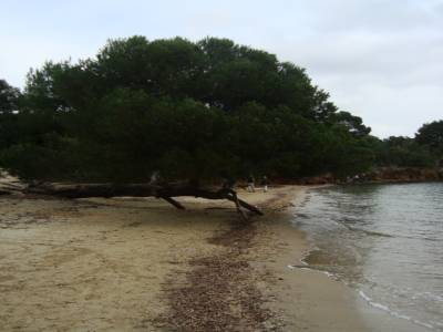 La londe des maures