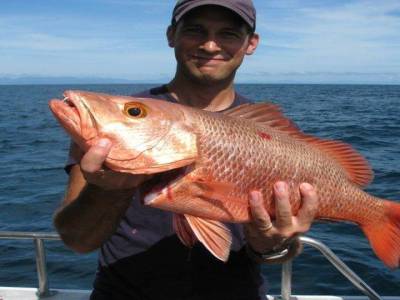 peche 1