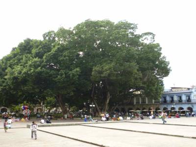 El Zocalo (grand place ou centre ville)