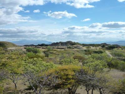 Monte Alban Bis