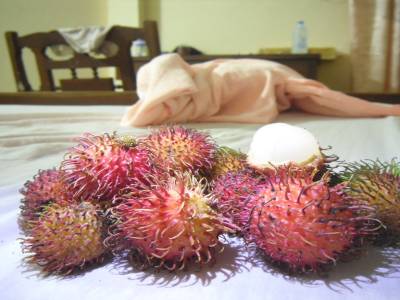 dans la serie fruits inconnus