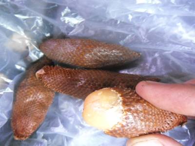dans la serie fruits inconnus