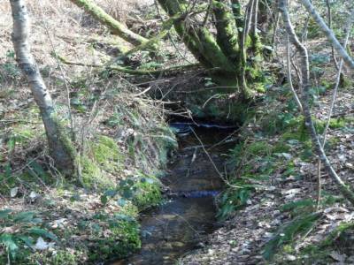 Riviere