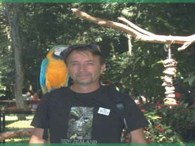 Toucan du parc des aves ,iguaçu,Brésil