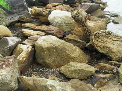 des roches en basalte granitique issues du sediment progressiste de la graniture terrestre