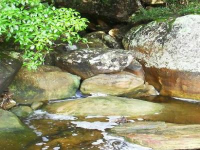 a la claire fontaine, m'en allant promener...