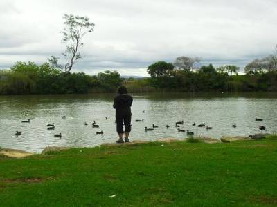 c la danse des canards qui en sortant de la mare, se secouent le bas des reins et font coin coin