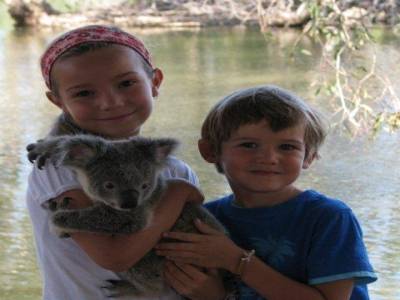 Koala