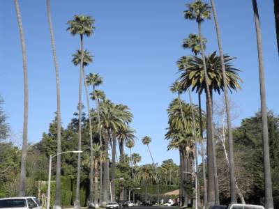 Notre arrivée a Los Angeles