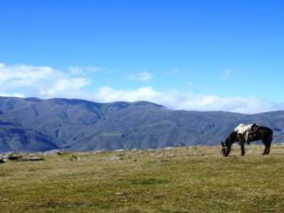 Tafi del Valle, un berger pendant sa sieste...