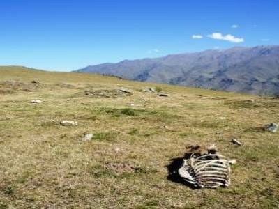Tafi del Valle, rando tranquille a 3000m