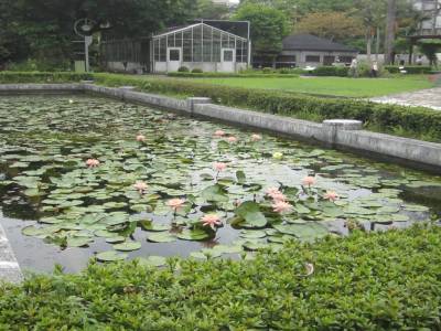 Botanical Garden
