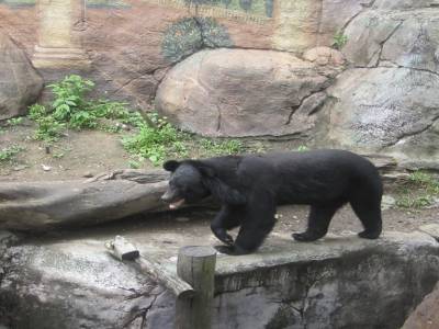 Taipei Zoo