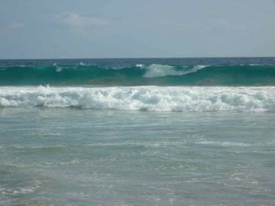 Les Vagues de surfeur