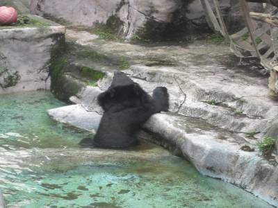 Taipei Zoo