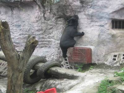 Taipei Zoo