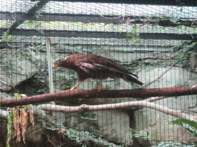 Taipei Zoo