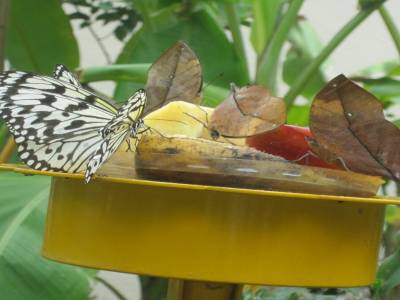 Taipei Zoo