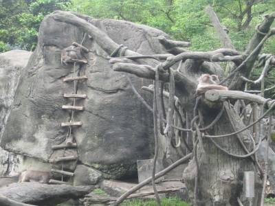 Taipei Zoo