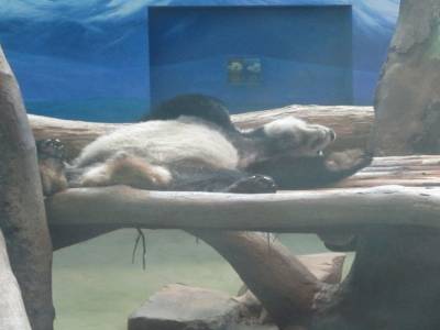 Taipei Zoo