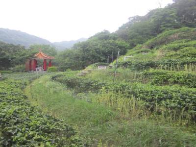Meokong (Tea Exhibition Center)