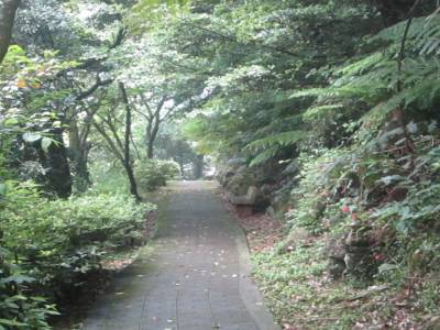 Yangminshan National Park