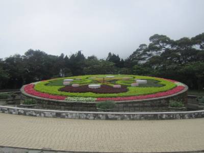 Yangminshan National Park (Clock Flower)