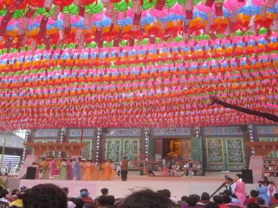 Lotus Lantern Festival