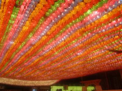 Lotus Lantern Festival