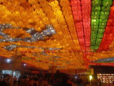 Lotus Lantern Festival