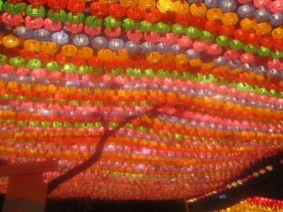 Lotus Lantern Festival