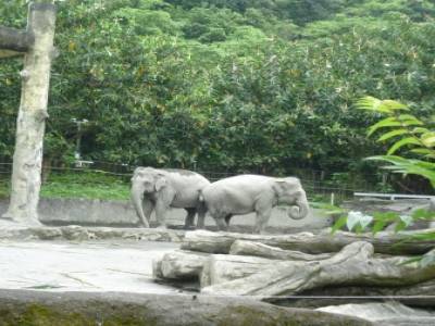 Taipei Zoo