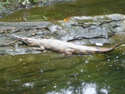 Taipei Zoo