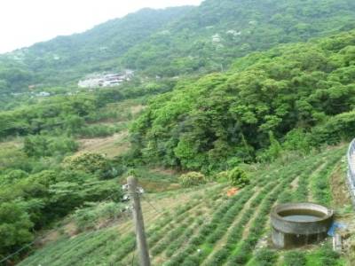 Meokong (Tea Plantations)