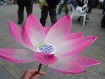 Lotus Lantern Festival