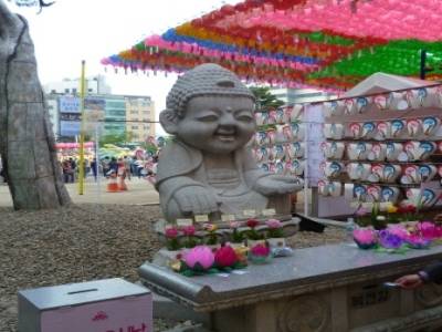 Lotus Lantern Festival
