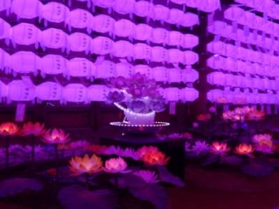 Lotus Lantern Festival