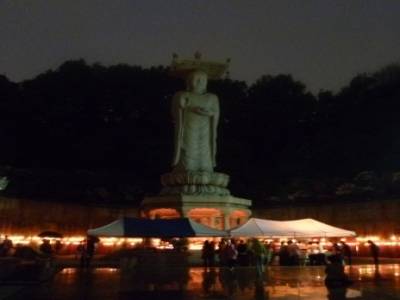 Bouddha's 2555th Anniversary at Bongeunsa