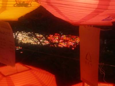 Bouddha's 2555th Anniversary at Bongeunsa