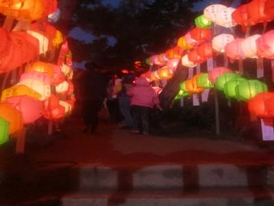Bouddha's 2555th Anniversary at Bongeunsa
