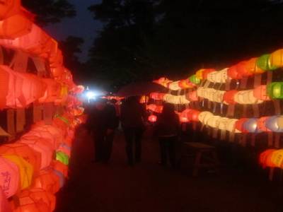Bouddha's 2555th Anniversary at Bongeunsa