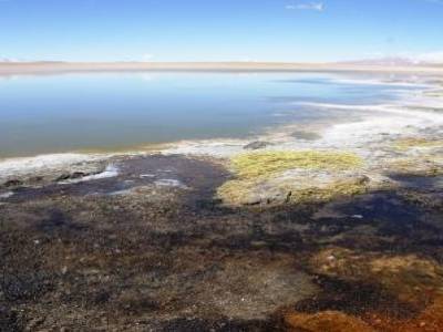 Trip uyuni