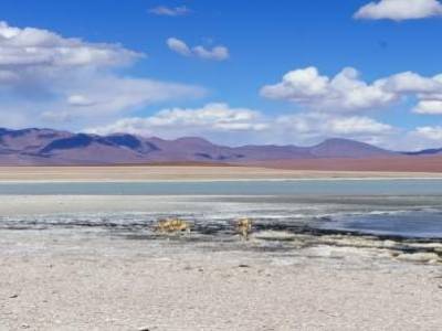 Trip Uyuni
