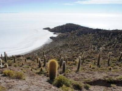 Trip Uyuni, isla Incahuasi