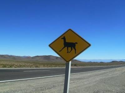 ca change des kangourous...