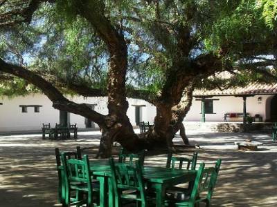 le poivier de molinos
